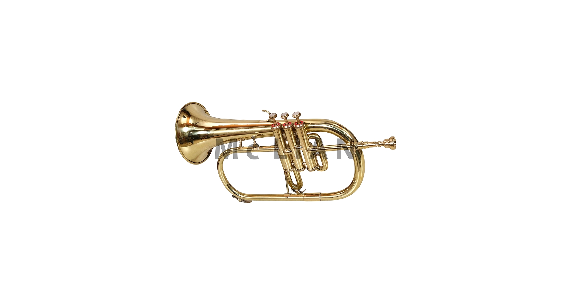 81aTiKg++yL.jpg_BO30,255,255,